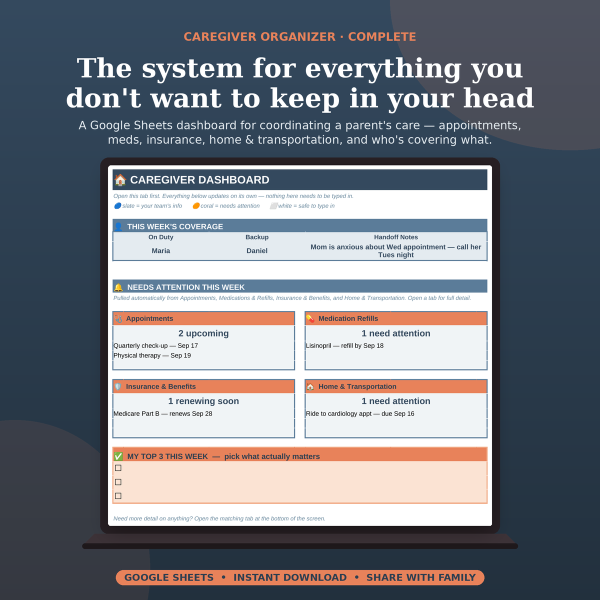 Caregiver Organizer Google Sheets Dashboard